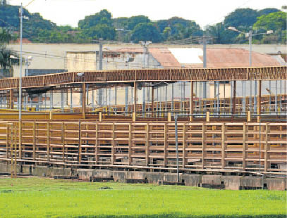 Sem abates de gado por três dias, currais de frigoríficos da JBS ficam vazios em Campo Grande - Foto: Gerson Oliveira / Correio do Estado