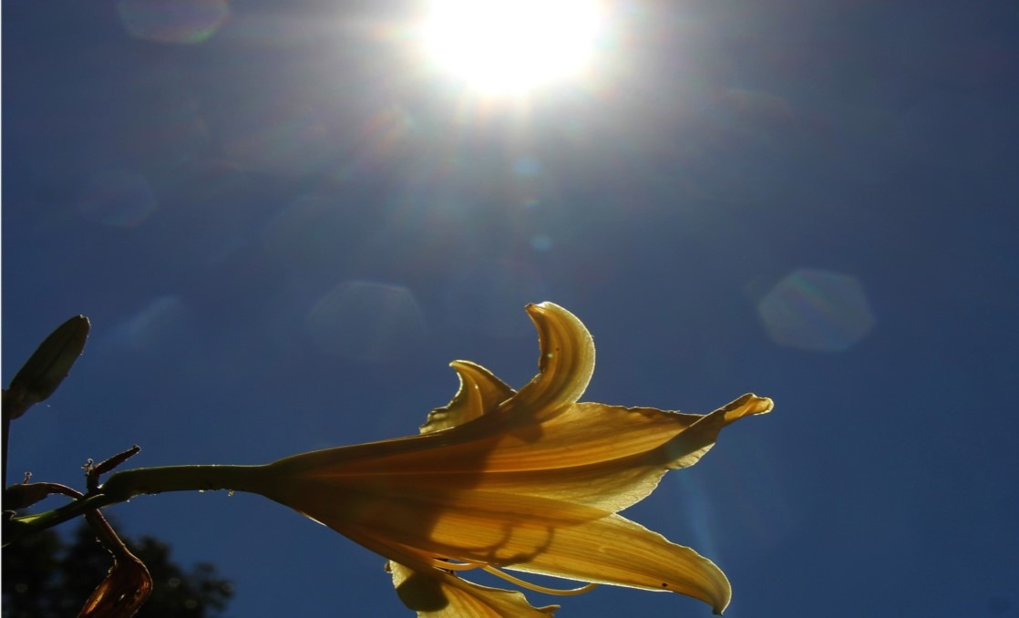Temperaturas voltam a subir e máxima chega a 32°C neste domingo