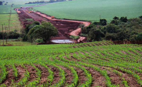 Pavimentação beneficia uma região em franca expansão agrícola. Foto Chico Ribeiro
