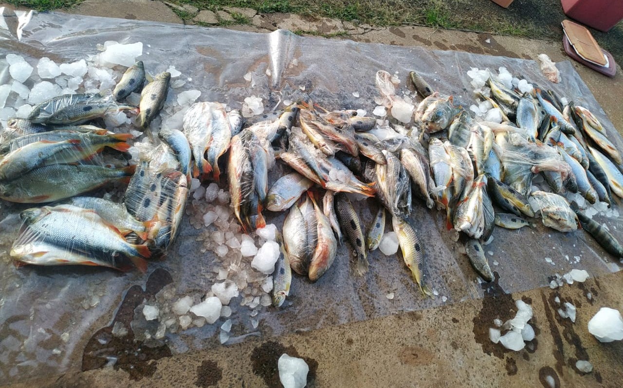 Paulistas são presos por crime de pesca e transporte de pescado acima da cota em MS