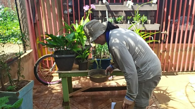 Em 3 dias, força-tarefa inspecionou mais de 19 mil imóveis e eliminou 1 mil focos do Aedes aegypti