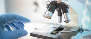 Cientistas investigam proteína que pode retardar ou impedir Alzheimer DR
