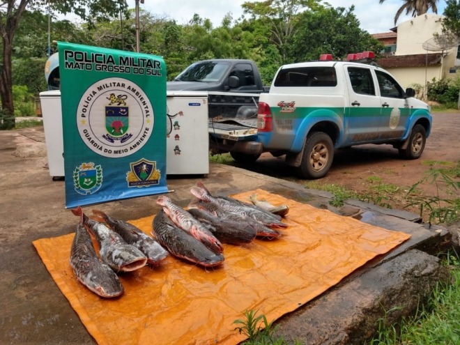 Foram mais de 600 quilos de pescado apreendidos durante o trabalho de fiscalização