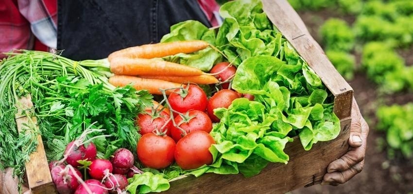 Descascar mais e desembalar menos: Confira os cuidados com a alimentação durante a quarentena Divulgação