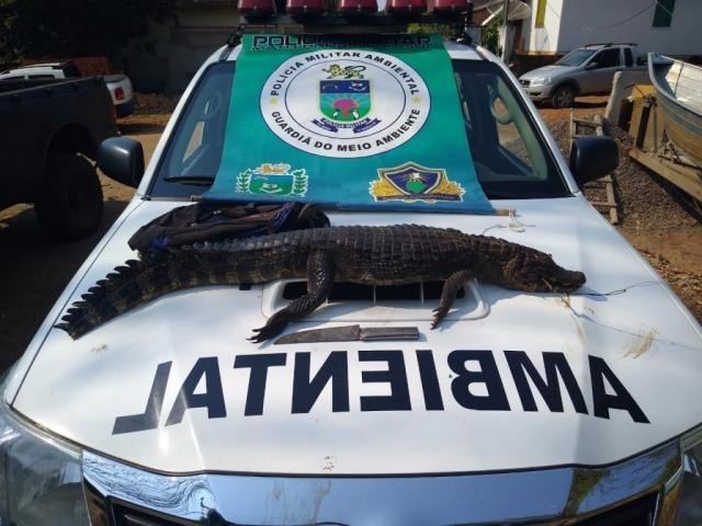 Divulgação PMA