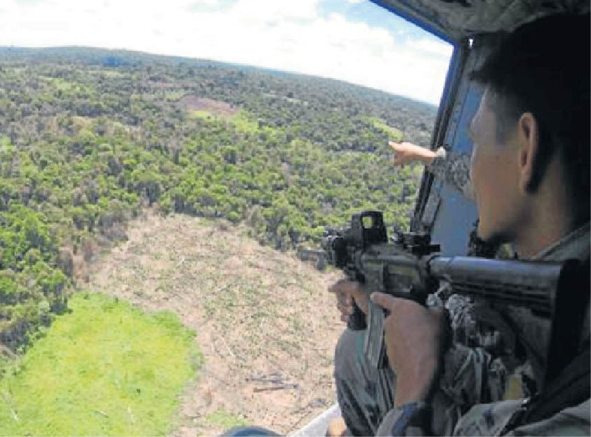 Policiais e militares das Forças Armadas estão em busca de plantações da droga - Foto: Divulgação/Senad