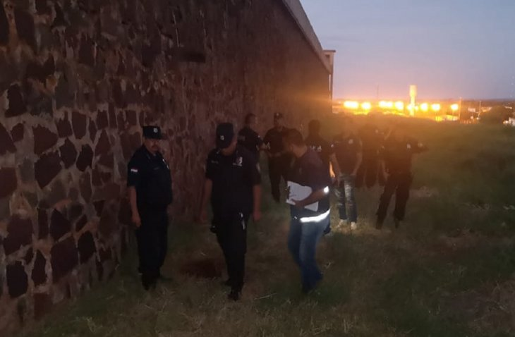 Divulgação