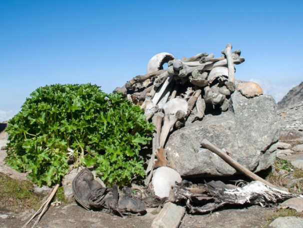 (Foto: Abhijeet Rane/BBC)