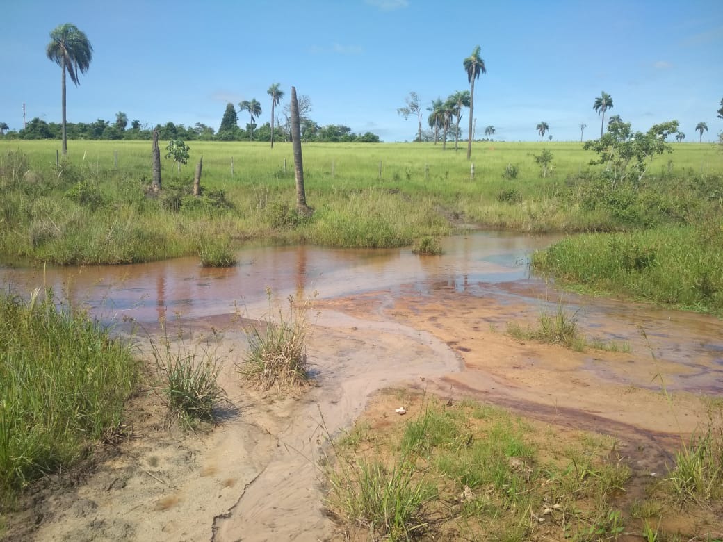 Pecuarista é autuado por erosões, degradação de matas ciliares e assoreamento de córrego