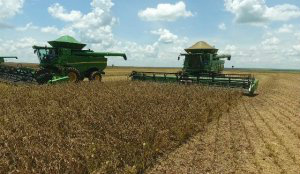 Mais de 96% de área de soja já foi colhida em MS. (Foto: Aprosoja/MS)