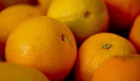 Brasil produziu 17,2 milhões de toneladas da laranja em 2016 Elza fiuza/Arquivo/Agência Brasil