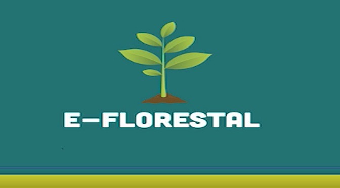 Imasul conclui modernização do Licenciamento Florestal e Hídrico