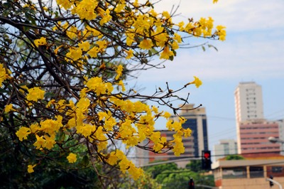 Em Campo Grande, temperatura mínima registra 24°C - Foto: Valdenir Rezende/Correio do Estado