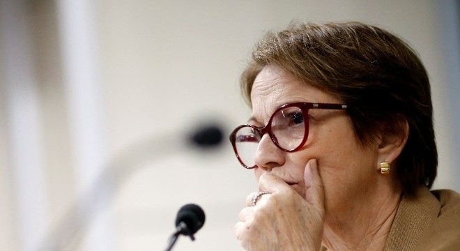Tereza Cristina diz já discutir Plano Safra com Ministério da Economia 'Estamos tentando antecipar Plano Safra para dar um horizonte ao produtor', disse Tereza
Adriano Machado/ Reuters