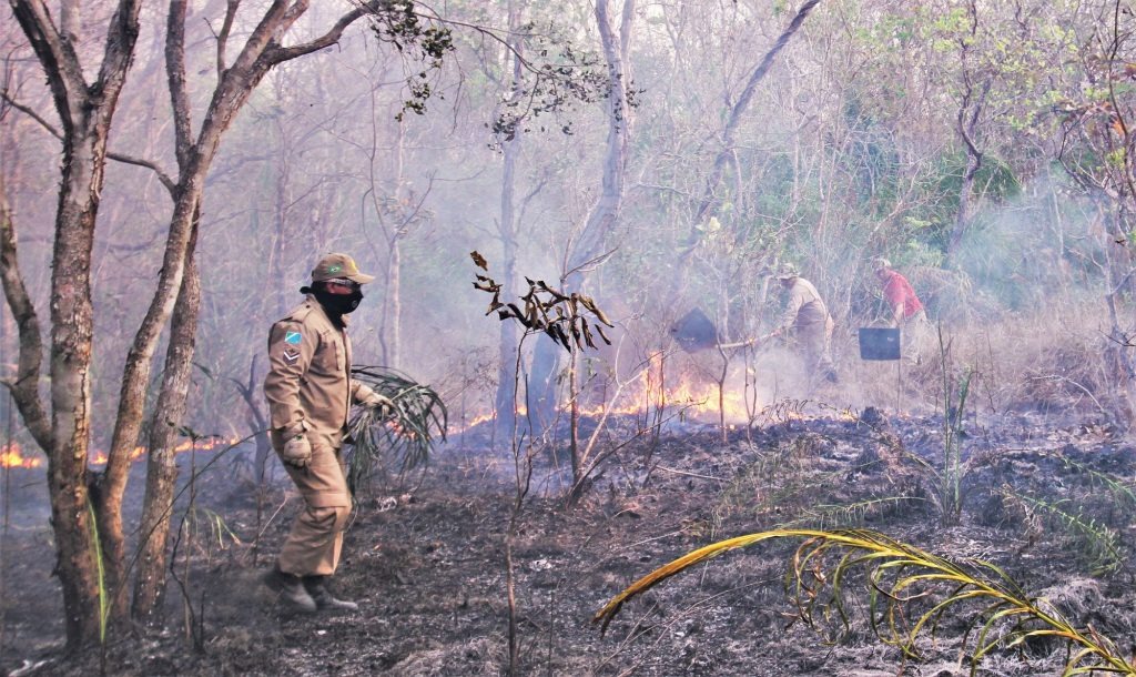 Com apoio do Estado, Caiman combate a queimada com uma ‘operação de guerra’ Saul Schramm