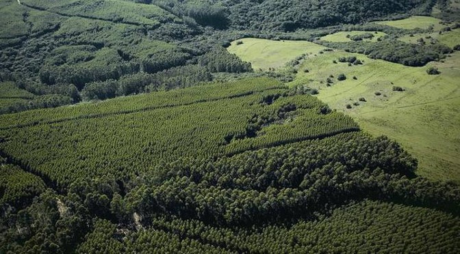 Começa a funcionar o novo sistema de Licenciamento Ambiental do MS