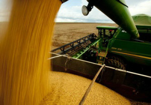 A estimativa de produção para a safra 2015 está fixada em 201,5 milhões de toneladas - Foto: Divulgação