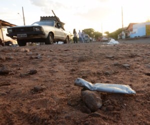 Local onde Lucas foi atingido por tiro - Gerson Oliveira
