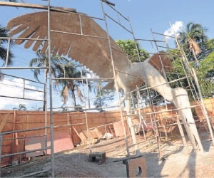 Tuiuiús estão sendo revitalizados por artista - Gerson Oliveira