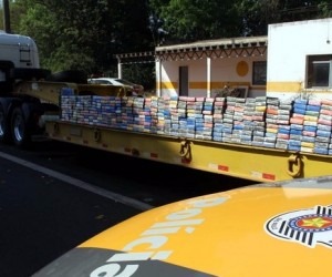 Droga apreendida pelos policiais militares do TOR. - Mil Notícias