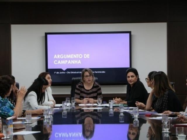 Reunião do Comitê Estadual de Combate ao Feminicídio no último dia 7 de maio. Divulgação