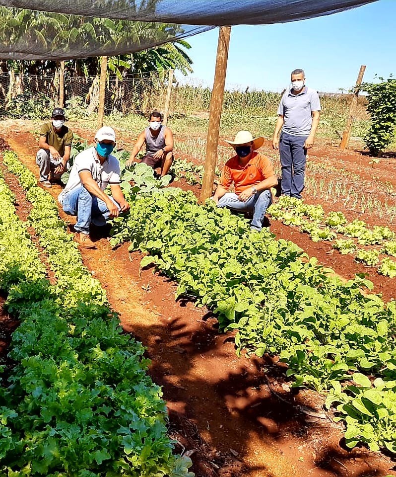 Projeto Horta Escolar Agroecológica nos distritos já colhem bons frutos Divulgação