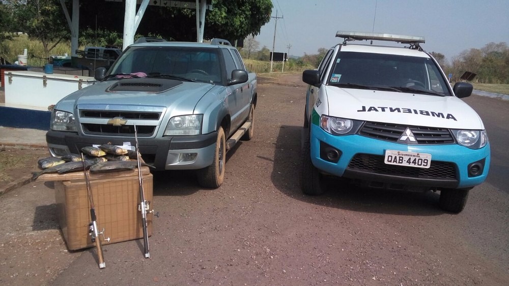 Flagrante foi neste domingo (24), em Anastácio (Foto: PMA/Divulgação)