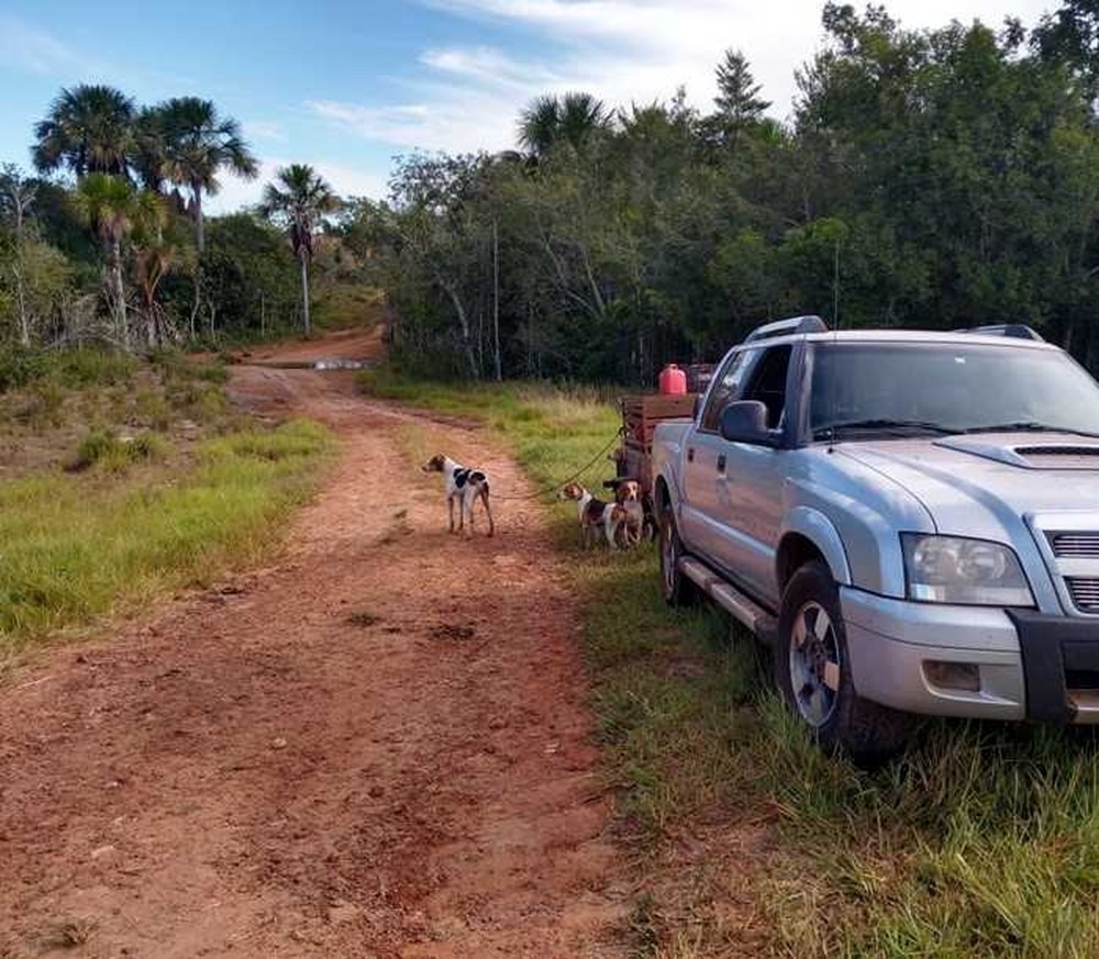 Cinco caçadores são presos com dezenove cães de caça