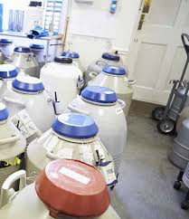 Novos certificados agilizam exportação de material de multiplicação animal