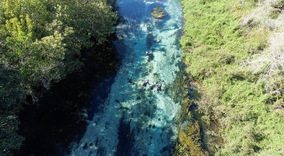 Foto: Alexis Prappas