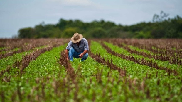 Ministério da Agricultura publica registro de 63 agrotóxicos Ministério da Agricultura publica registro de 63 agrotóxicos