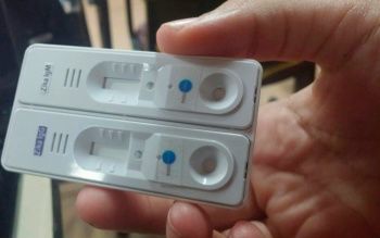 Zika teste rápido para detectar zika (Foto: Juliana Almirante)