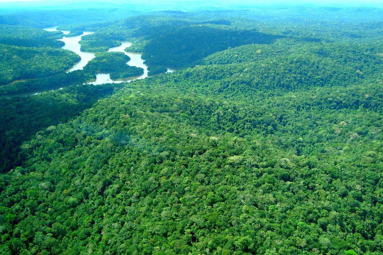 Renca (Reserva Nacional do Cobre Associados)