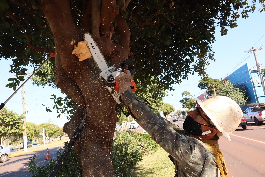 Prefeitura de Dourados compra novos equipamentos para a poda de árvores Divulgação