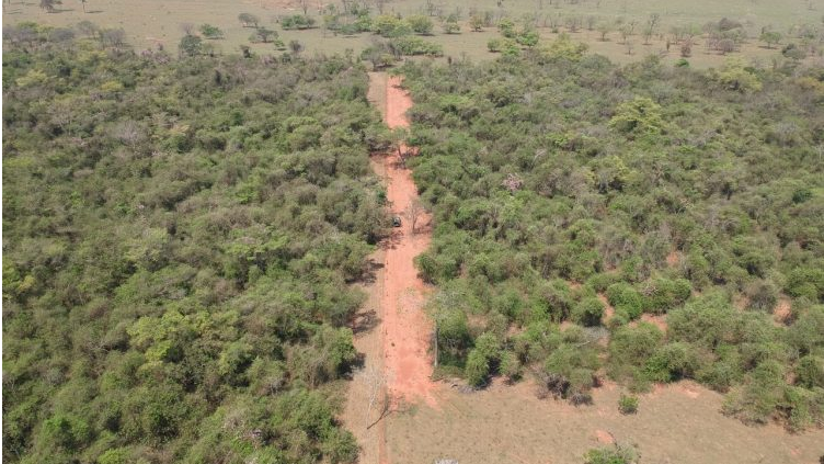 Morador rural é autuado pela PMA em R$ 7 mil por desmatamento ilegal (Foto: Divulgação PMA)