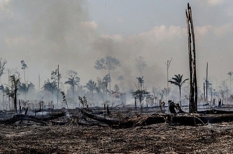 Área queimada em Santo Antônio do Matupi, no AM
GABRIELA BILó/ ESTADÃO CONTEÚDO