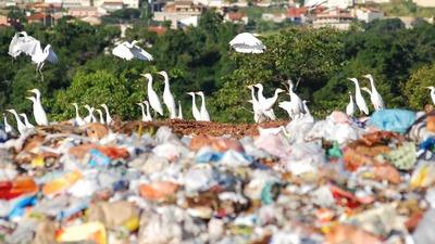 Desabamento em Lixão mata pelo menos 14 pessoas em Moçambique © Pixabay