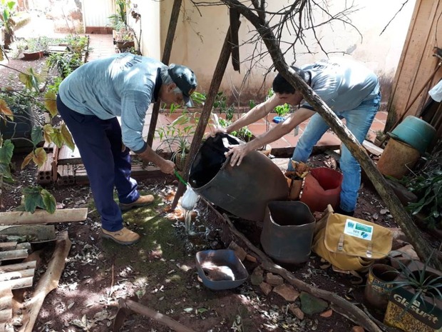 CCZ vai intensificar ações de combate ao Aedes aegypti