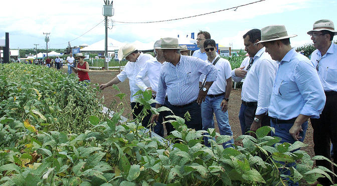 Showtec: apoio do governo reforça papel do estado como indutor do desenvolvimento Showtec: apoio do governo reforça papel do estado como indutor do desenvolvimento