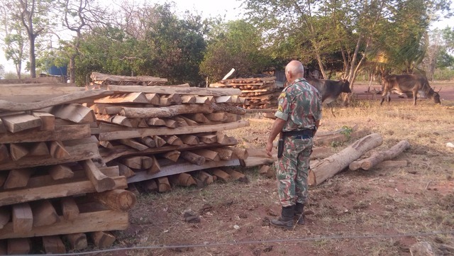 Mulher é autuada em R$ 2,4 mil por armazenamento ilegal de madeira Foto: Divulgação