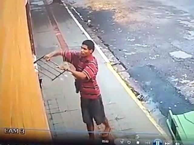 Reprodução - Vídeo