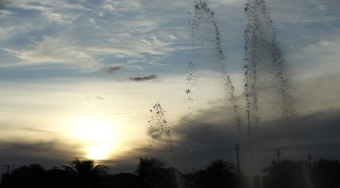 Meteorologia prevê sexta chuvosa e mínima de 11°C para MS Mônica Alves