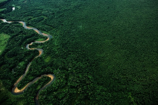 Foto: Acervo SOS Mata Atlântica