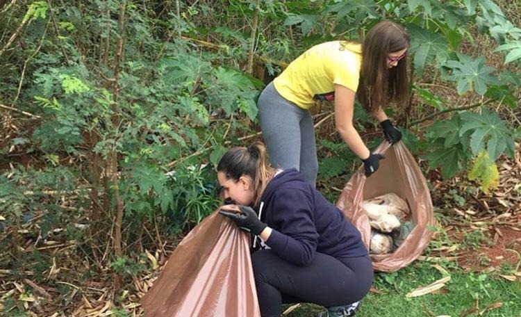 Expectativa é de reunir 800 voluntários no Dia Mundial da Limpeza na Capital Divulgação