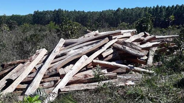 Proprietário rural é autuado em R$ 371 mil por desmatamento ilegal Foram apreendidos 90 esticadores e 700 estacas de madeira. Divulgação