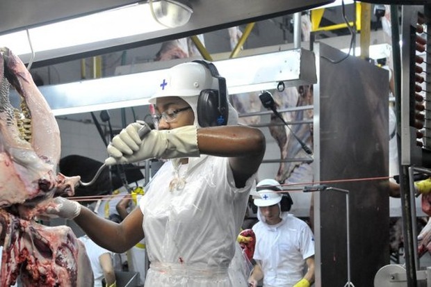 Celulose e carnes alavancam exportação da indústria de Mato Grosso do Sul em 2019