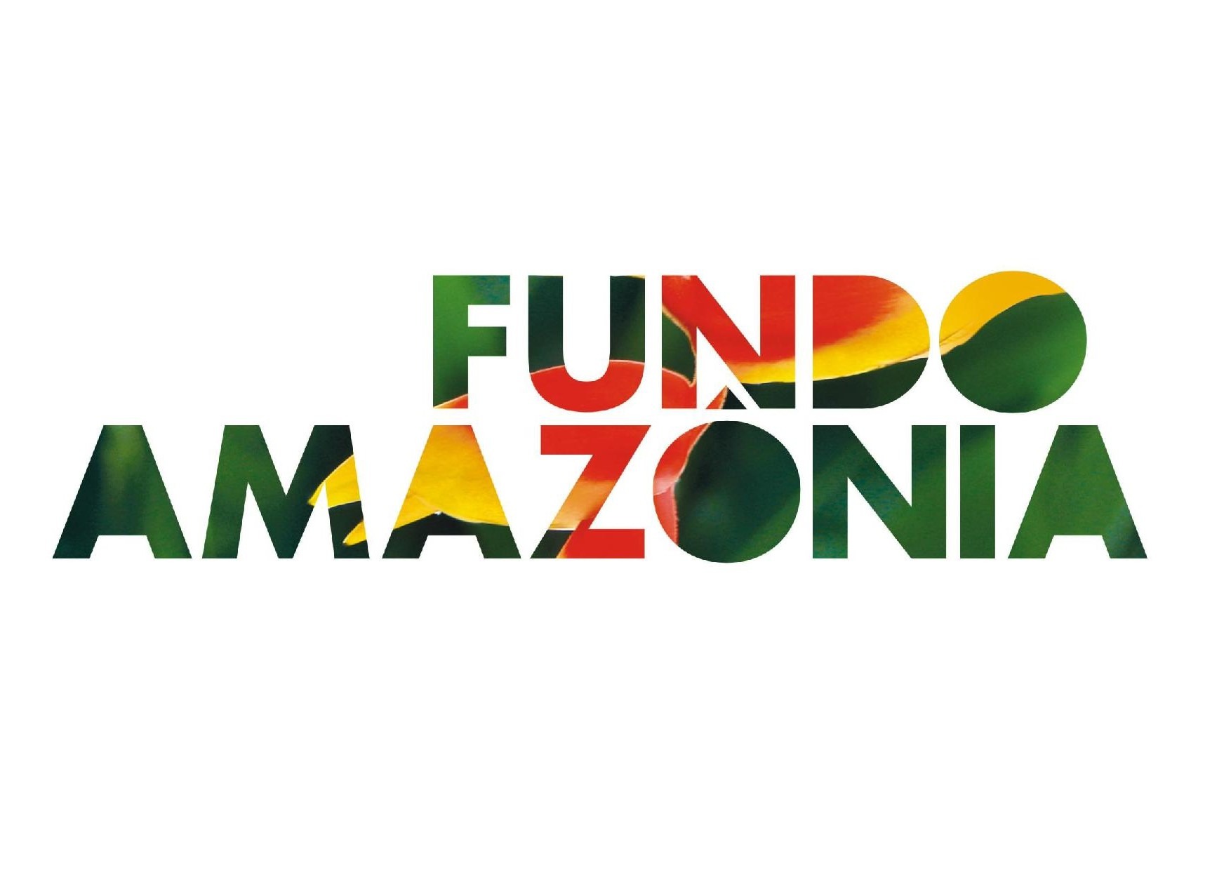 Arte: fundoamazonia.gov.br