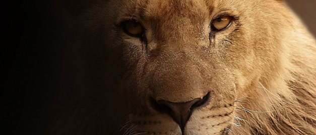 Receita começa a receber declarações do IR 2016 nesta terça-feira