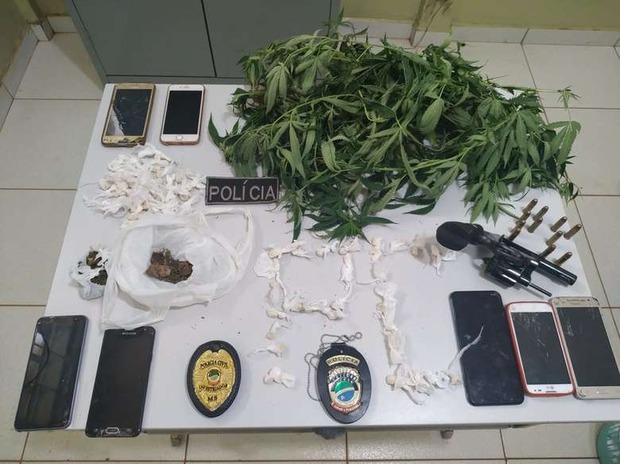 Polícia apreende pés de maconha durante operação no interior