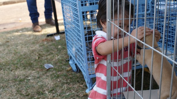 Dia D de combate ao abandono de animais tem adoção, brindes e atividades para crianças
